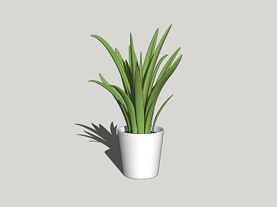 Indoor Decorative Potted Plant With Long Slender Green Leaves In White Pot 3d model