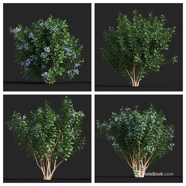 Lush Arbor With Green Leaves And Blue Flowers In Various Angles 3d model 