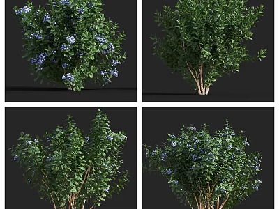 Lush Arbor With Green Leaves And Blue Flowers In Various Angles 3d model