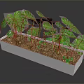 Monstera and Tropical Plants in White Rectangular Planter with Large Green Leaves and Brown Soil