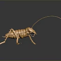 Golden Cricket Sculpture With Long Antennae On Black Background And Reflection