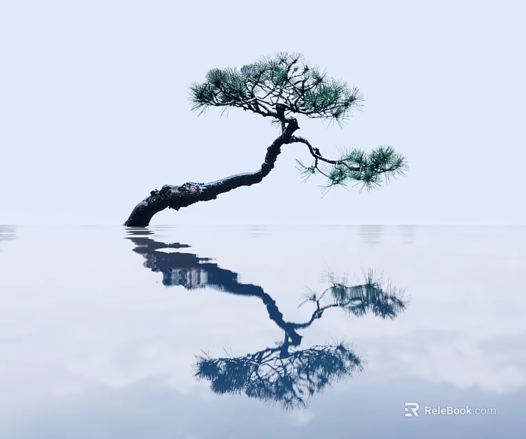 Curved Trunk Pine Arbor with Pine Needles and Reflection on Water Surface in Light Sky 3d model 