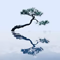 Curved Trunk Pine Arbor with Pine Needles and Reflection on Water Surface in Light Sky