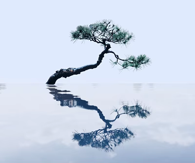 2D Zen Pine Landscape Pine Lohan Pine Welcome Pine Garden Pine 3d model