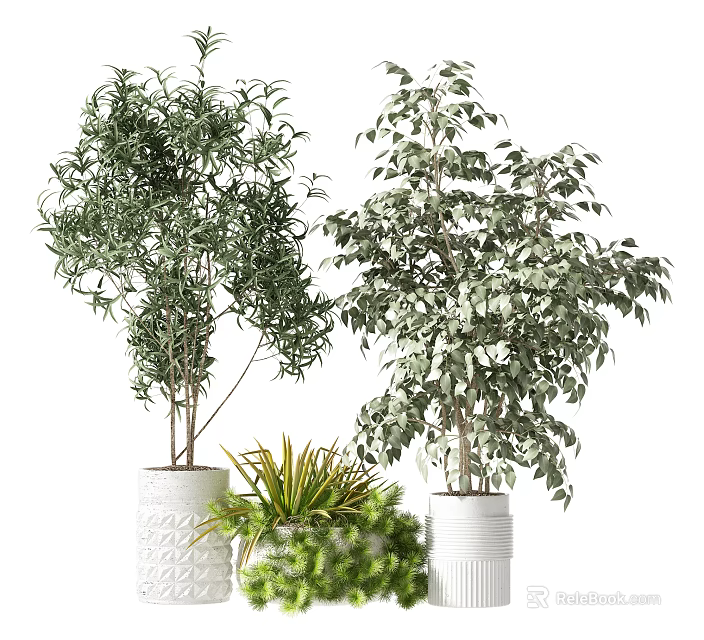 Decorative Bonsai Potted Plants With Various Green Foliage In White Pots 3d model 
