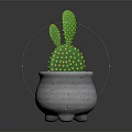 Green Cactus Plant with Yellow Dots in White Pot with Black Spots and Three Feet