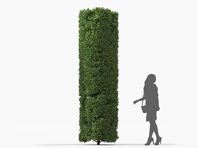 Tall Cylindrical Well Trimmed Shrub With Female Silhouette In Garden Landscape 3d model
