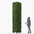 Tall Cylindrical Well Trimmed Shrub With Female Silhouette In Garden Landscape
