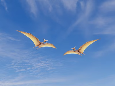 Two Pterosaurs Flying Gracefully In Clear Blue Sky With White Clouds 3d model