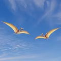 Two Pterosaurs Flying Gracefully In Clear Blue Sky With White Clouds