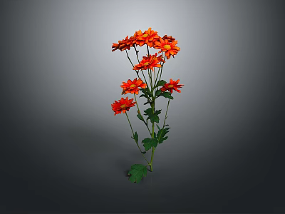 Orange Flowers Blooming with Vibrant Petals Green Stems and Fresh Leaves Against Dark Background 3d model