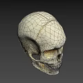 Detailed Human Skull 3D Render With Bone Color And Dark Background 3d model