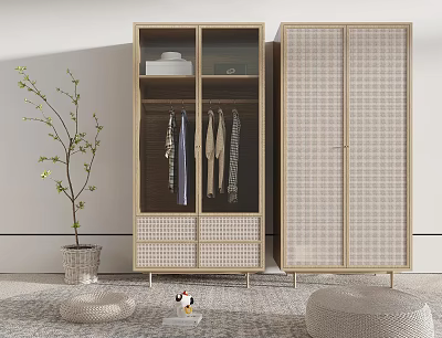 Modern Wooden Wardrobe Interior Design With Glass Doors Woven Panels And Hanging Clothes 3d model