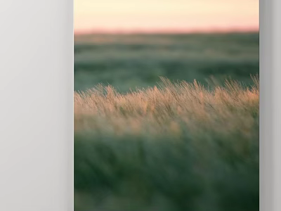 Landscape Painting of Vast Grassland with Tall Golden Green Grass and Sunset Pink Orange Sky 3d model
