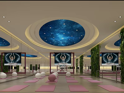 Yoga Studio With Starry Ceiling Mirrors Yoga Balls Mats Large Screens And Green Plants 3d model