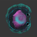 Glowing Pink And Blue Jellyfish Like Creature With Transparent Body And Big Eyes