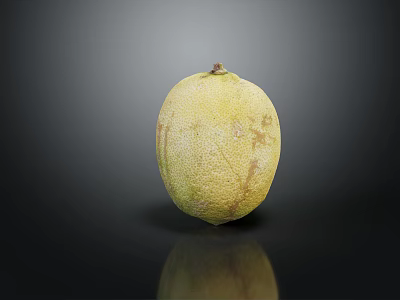 Single Fresh Ripe Cantaloupe Fruit With Yellow Textured Surface And Brown Spots On Black Background 3d model