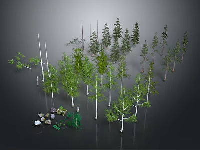 Various Green Plants and Trees Collection with Natural Stones 3d model
