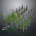 Various Green Plants and Trees Collection with Natural Stones