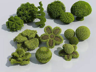 Various Shaped Decorative Garden Shrubs With Topiary Designs And Green Foliage 3d model
