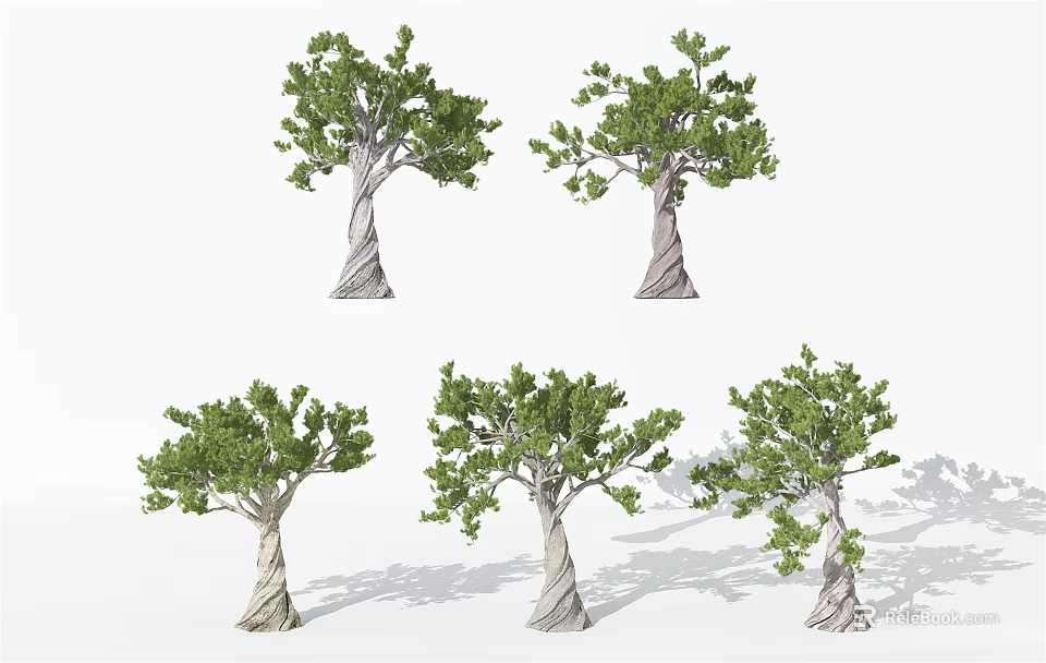Arbor Trees Showcasing Various Crown Shapes And Textured Trunk Details 3d model
