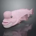 Pink Fish With Bulbous Forehead Large Mouth Fins And Tail On Dark Background With Reflection