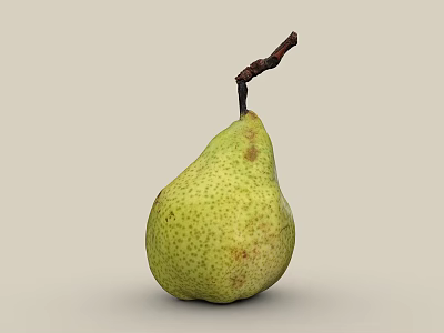 Fresh Ripe Green Speckled Pear With Brown Stem On Light Background 3d model