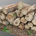 Stacked Natural Wood Logs With Stone And Green Plants On Earthy Ground