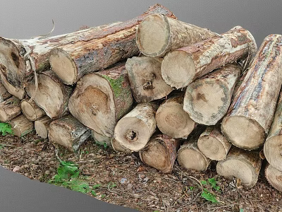 Stacked Natural Wood Logs With Stone And Green Plants On Earthy Ground 3d model