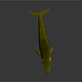 Detailed Golden Whale 3D Render With Glossy Surface On Gray Background