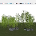 Plant Combination With Weeping Willows Stones Green Grass And Blue Sky