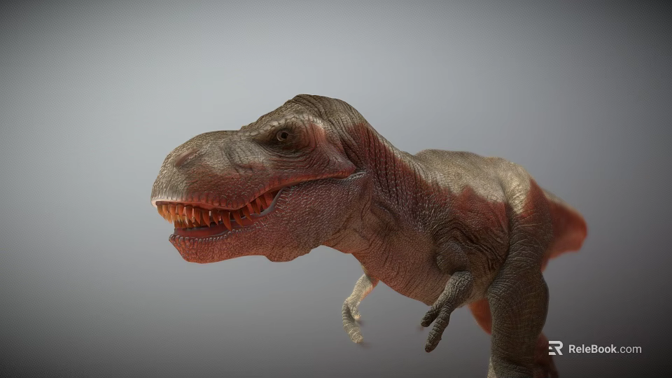 Realistic Reptile Tyrannosaurus Rex Dinosaur Model With Open Mouth Sharp Teeth And Detailed Skin Texture 3d model 