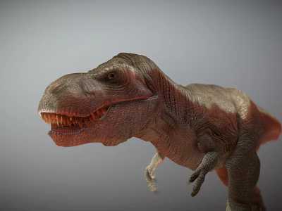 Realistic Reptile Tyrannosaurus Rex Dinosaur Model With Open Mouth Sharp Teeth And Detailed Skin Texture 3d model