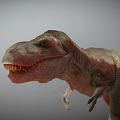Realistic Reptile Tyrannosaurus Rex Dinosaur Model With Open Mouth Sharp Teeth And Detailed Skin Texture