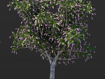 Lush Vibrant Arbor Tree With Green Foliage Purple Blossoms And Graceful Shape 3d model