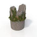 Ancient Ruined Stone Tower Covered With Lush Green Climbing Vines On Walls