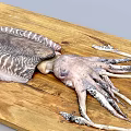Giant Squid With Striped Body And Long Tentacles On Wooden Surface