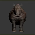 Standing Pink Rhinoceros with Single Horn and Rough Skin on Plain Gray Background