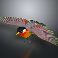 Vibrant Colorful Bird Spreading Wings With Red Yellow Black Feathers And Orange Body