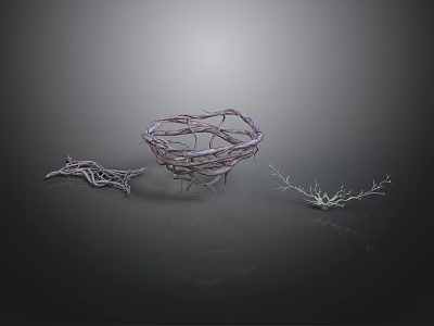 Detailed Organ And Hair Structure Models With Intricate Branching Patterns 3d model