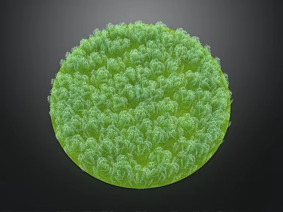Dense Green Circular Plant Cluster With Lush Foliage Texture 3d model