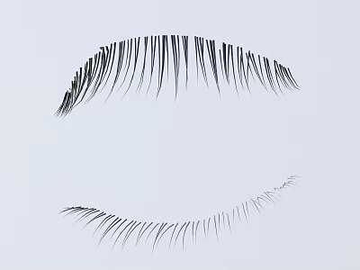 Natural Looking False Eyelashes For Daily Makeup In Cosmetics Collection With Soft Fibers 3d model