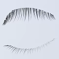 Natural Looking False Eyelashes For Daily Makeup In Cosmetics Collection With Soft Fibers