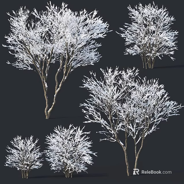 Snow Covered Deciduous Trees With Frosted Branches In Winter Scenery 3d model 