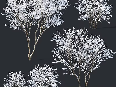 Snow Covered Deciduous Trees With Frosted Branches In Winter Scenery 3d model