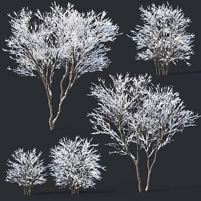 Modern Tree Plant Snow Tree Shrub 3d model Modern Tree Plant Snow Tree Shrub 3d model