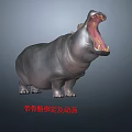 High Quality Hippopotamus 3D Character Model With Rigging And Animation