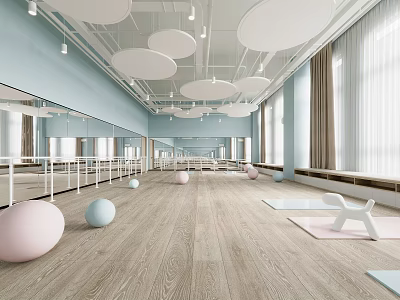 Spacious Fitness Studio With Yoga Mats And Exercise Balls 3d model