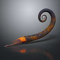 Spiral Shaped Aquatic Animal Tentacle With Orange And Black Stripes On Gray Background With Reflection