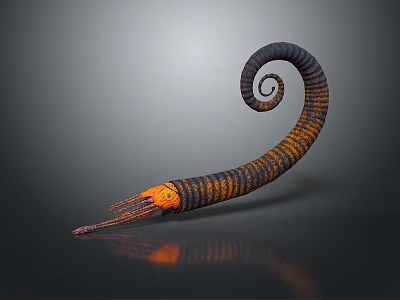 Spiral Shaped Aquatic Animal Tentacle With Orange And Black Stripes On Gray Background With Reflection 3d model